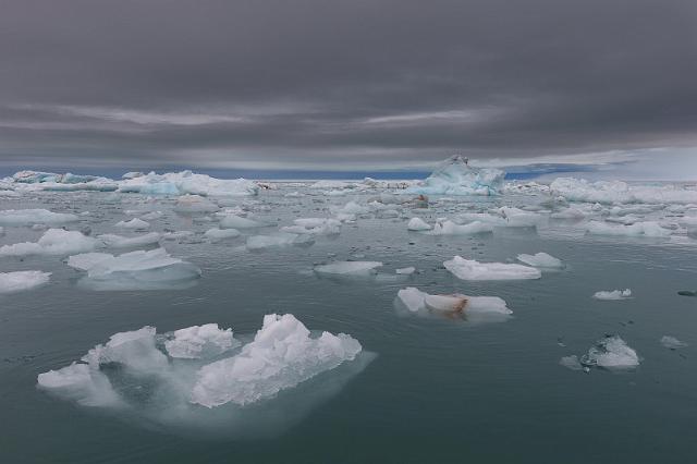 049 Brasvellbreen.jpg